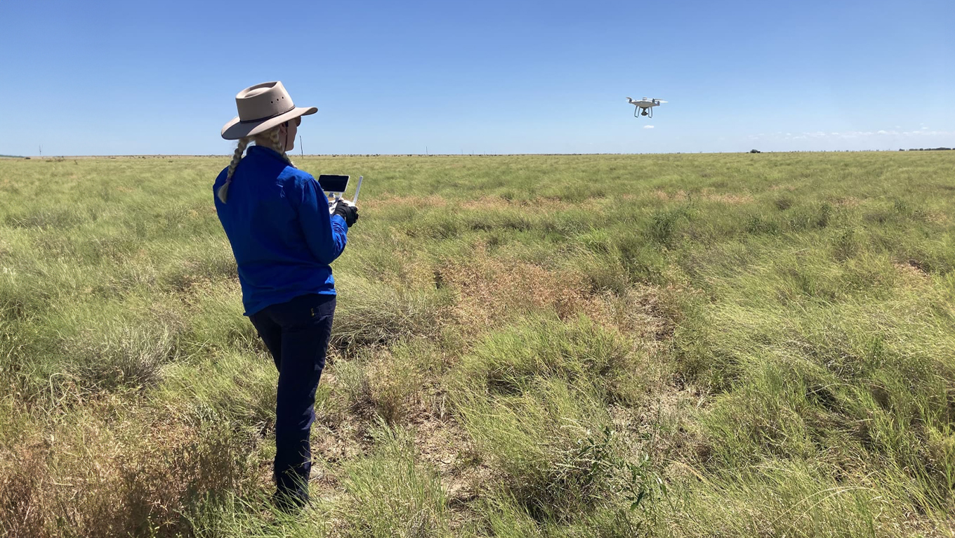 Person in a field using a drone. 